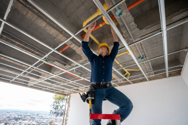 Best Sprinkler Systems  in Virginia, IL