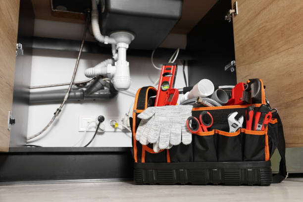 Best Commercial Plumbing Services  in Virginia, IL