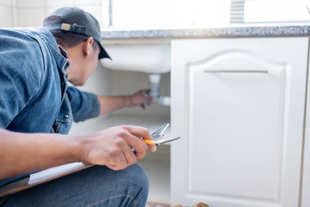 Best Clogged Drain Plumber  in Virginia, IL