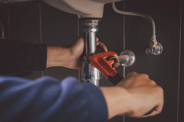 Best Plumbing Inspection Services  in Virginia, IL
