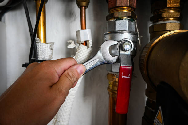  Virginia, IL Plumbing Pros